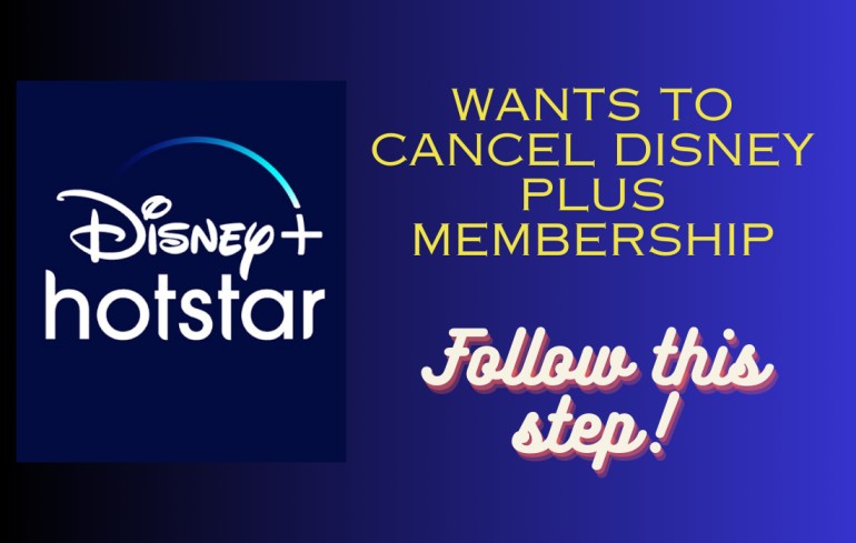 Disney Plus Subscription