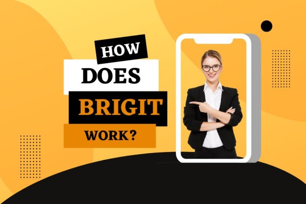 How Does Brigit Work-Is This Provide Safe Security Or Not? [2024]