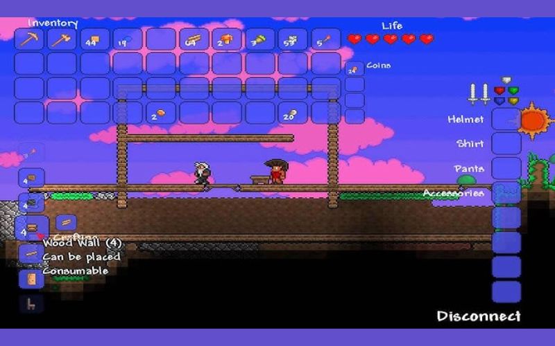 Multiplayer Gameplay in Terraria