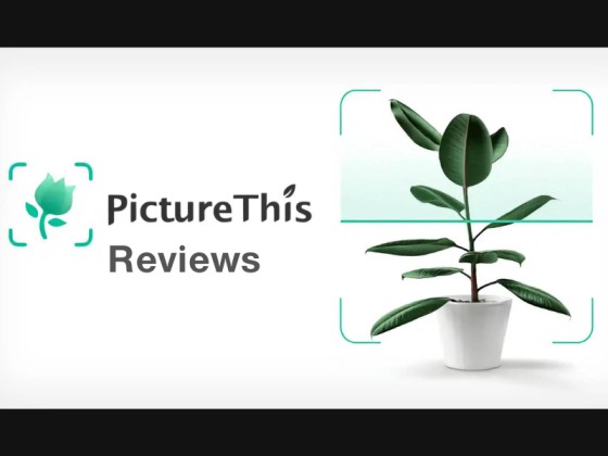 PictureThis App Review- Cost, UI, Pros & Cons 2024