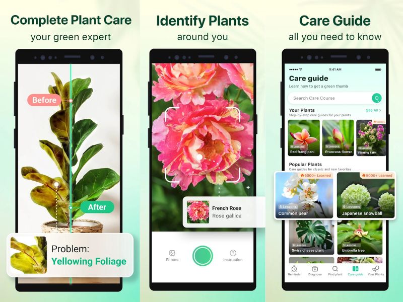 Plant Parent App Review: The Best Tool for Easy Plant Care?