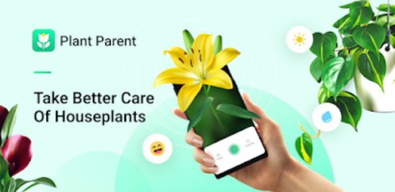 Plant Parent App Review: The Best Tool for Easy Plant Care?