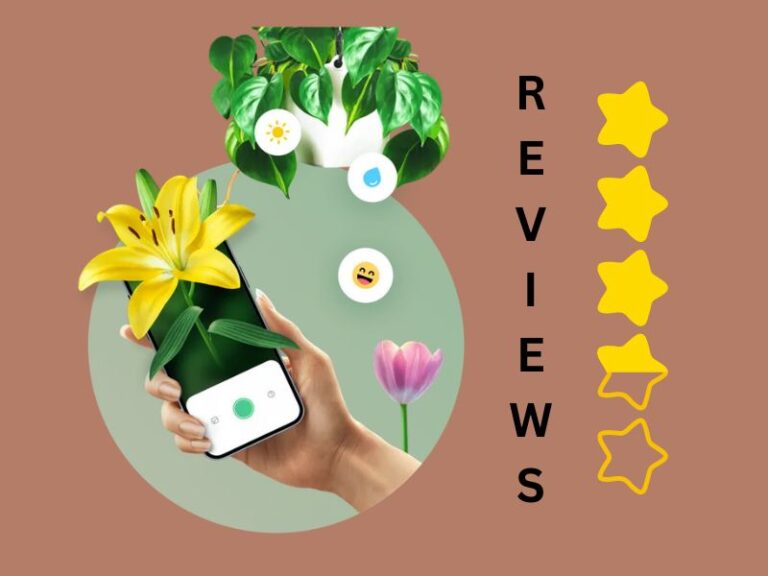 Plant Parent App Review: The Best Tool for Easy Plant Care?