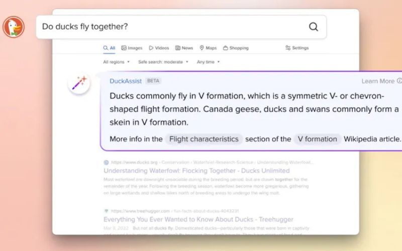 DuckDuckGo's AI Search: Privacy & Customization