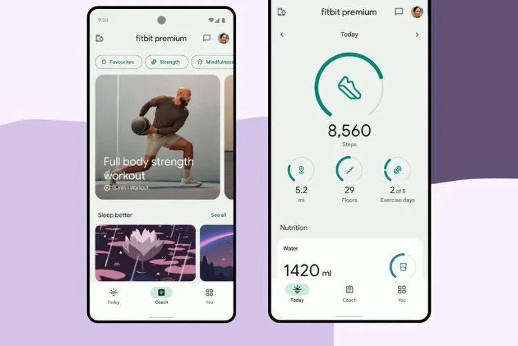 Fitbit App Review