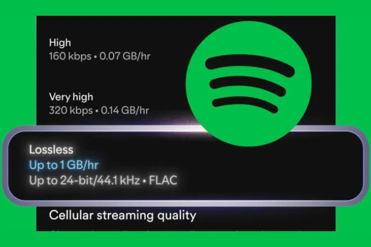 Spotify Lossless