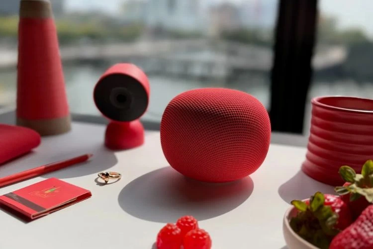 Google Home Speaker 2025