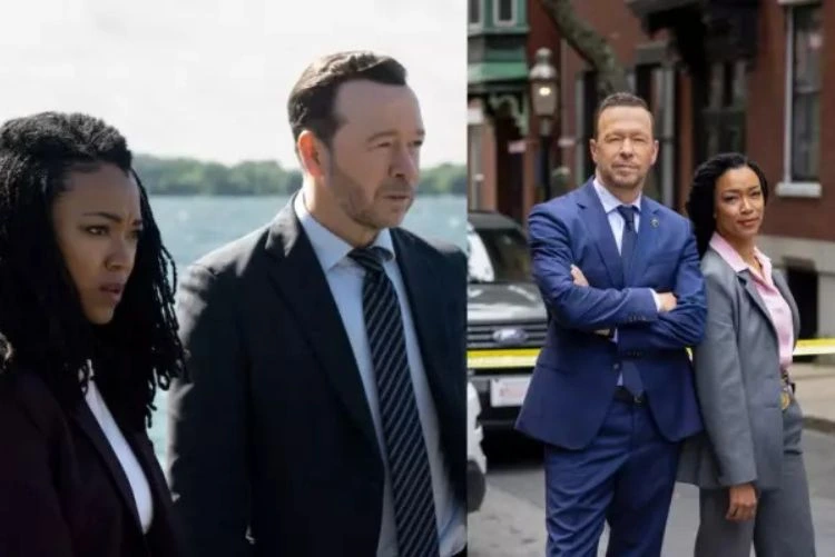 Should You Watch Boston Blue