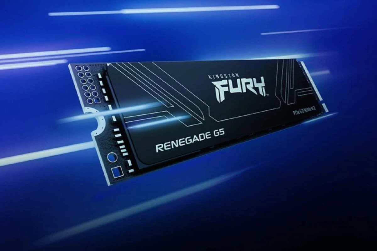 Kingston Fury Renegade G5 8TB