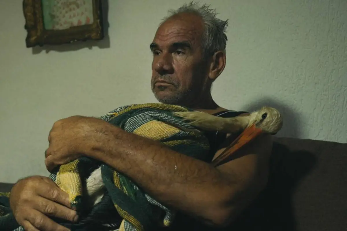 the tale of silyan where to watch